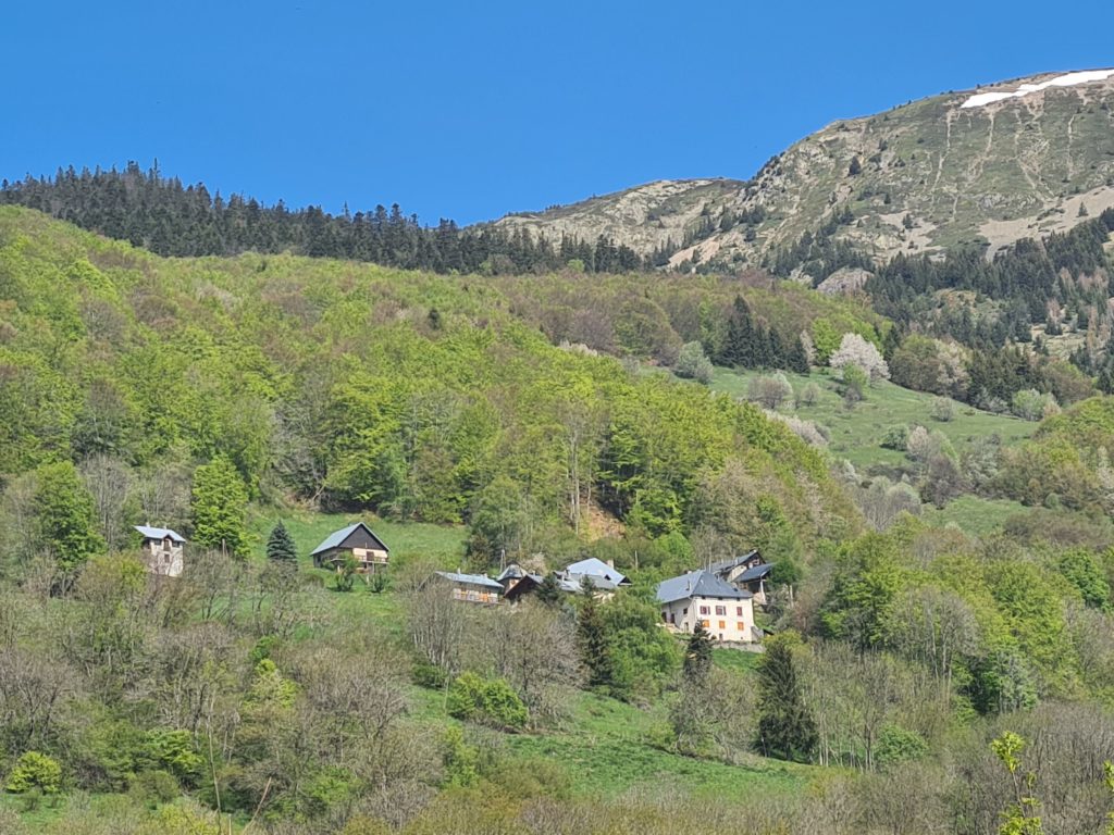Le guillard