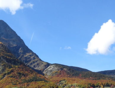 Samedi 8 Novembre 2025- Invitation Journée Bénévolat AFP-Association Foncière Pastorale