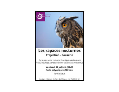 Projection – Les rapaces nocturnes – Vendredi 12 juillet 2024 à 18h00 – Salle polyvalente Louis Fiat – Ornon