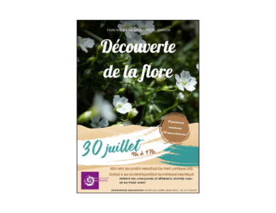 Découverte de la flore – Mardi 30 juillet 2024 de 9h00 à 17h00 – Parking de la Grenonière – Ornon